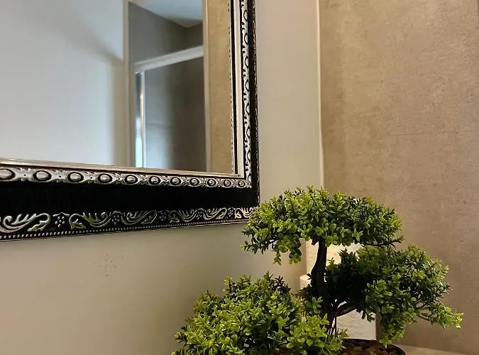 Apartment Schoenes In